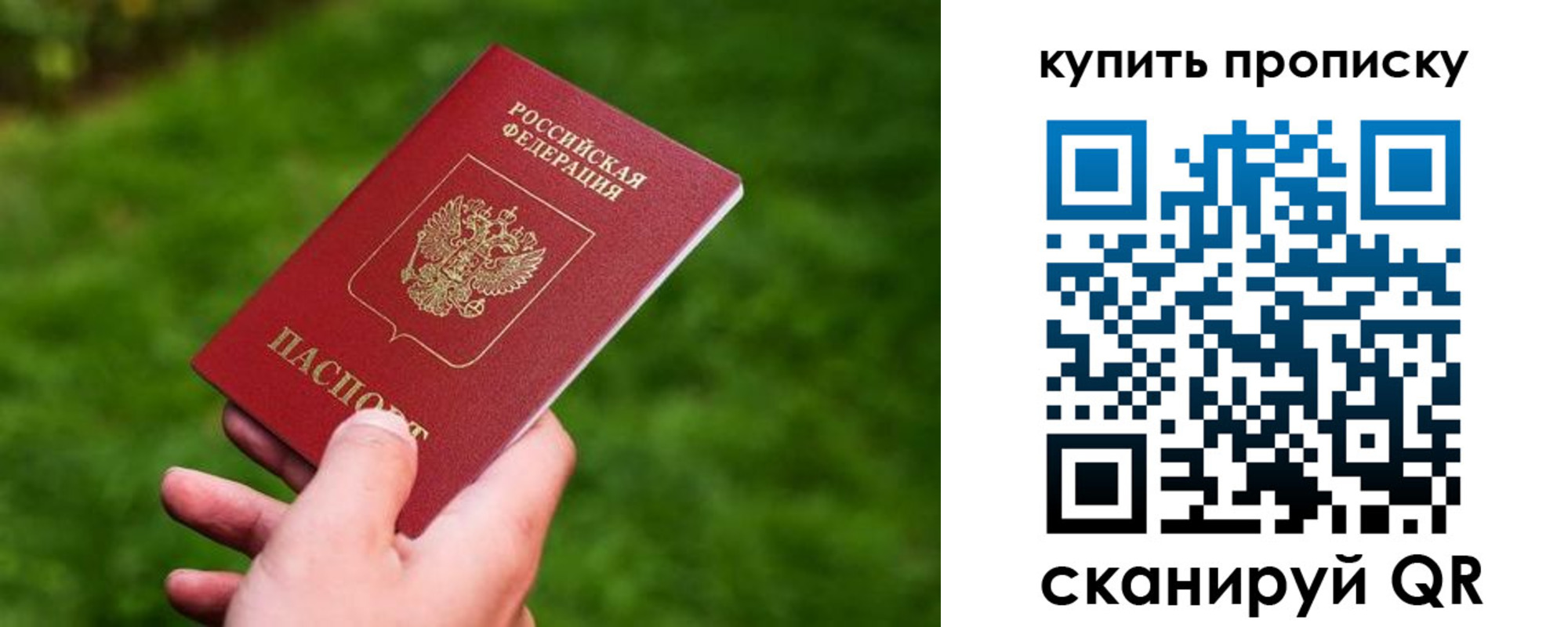 прописка гарантия в Калуге